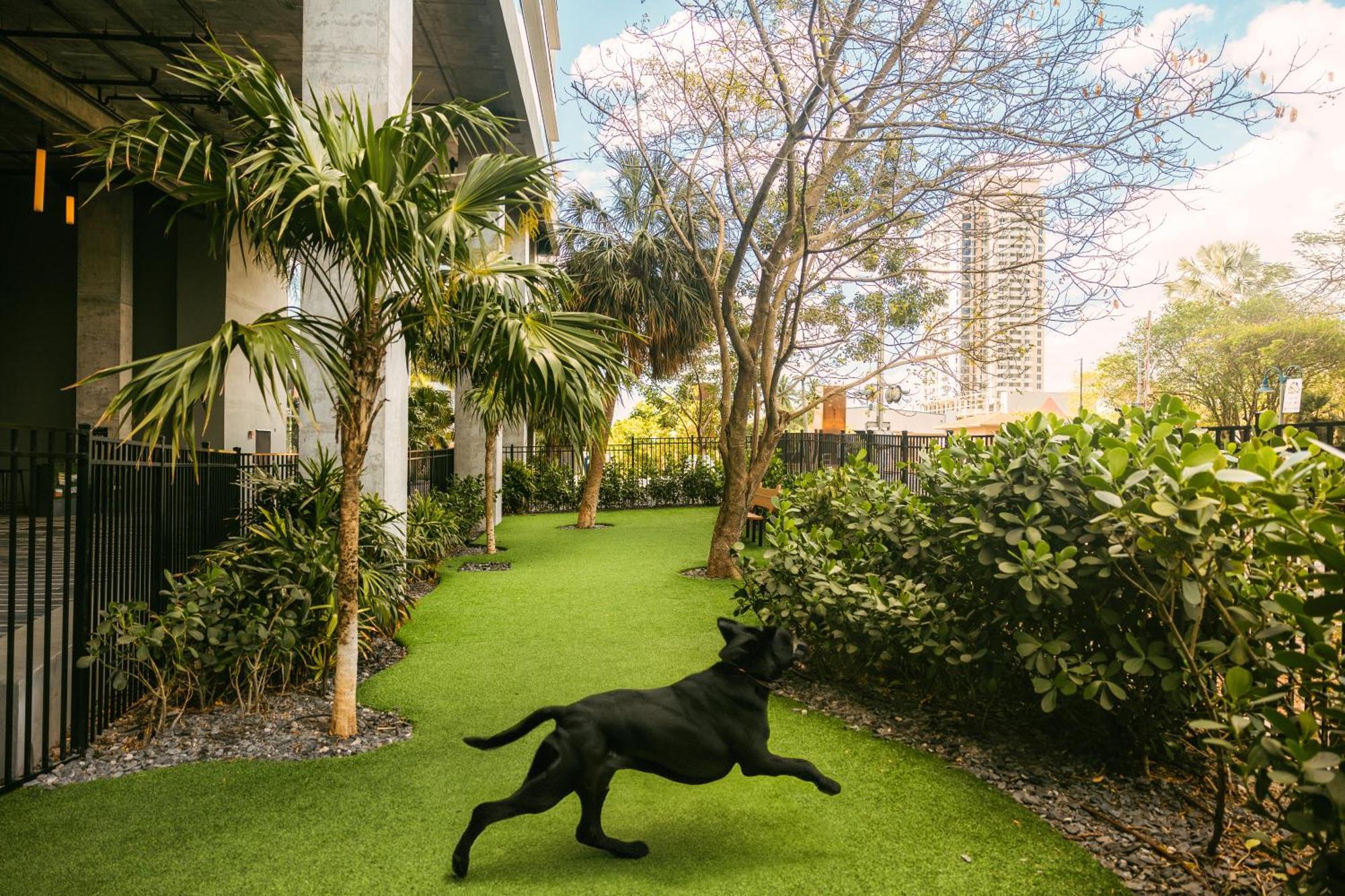 Flow Fort Lauderdale Hotel Екстериор снимка